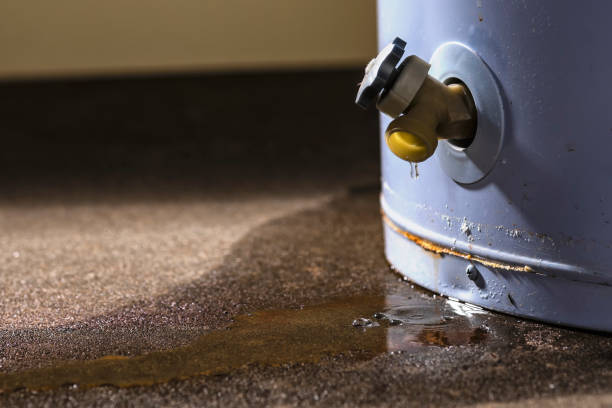 Best Water damage restoration services  in Norco, CA