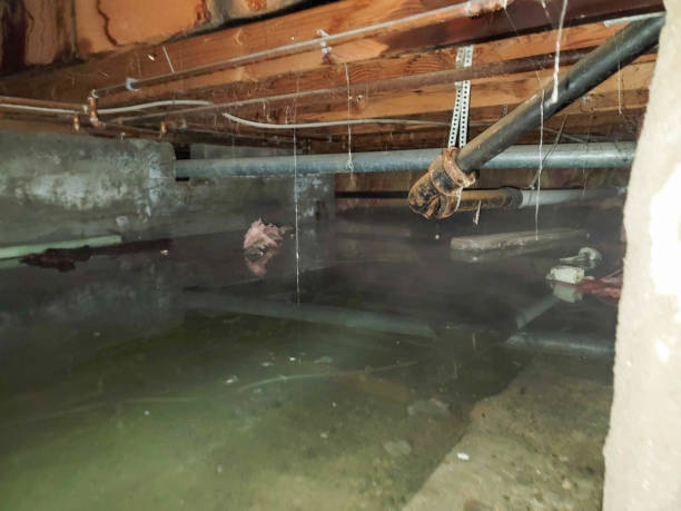 Best Water damage restoration near me  in Norco, CA