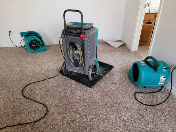 Best Basement water damage restoration  in Norco, CA