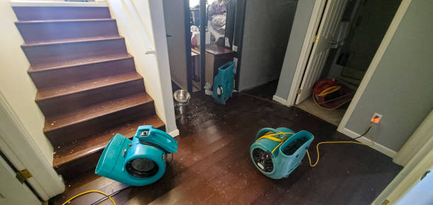 Best Sewage cleanup and water damage restoration  in Norco, CA