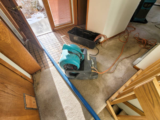 Best 24/7 water damage repair  in Norco, CA