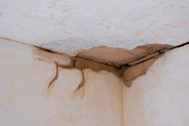  Norco, CA Water damage restoration Pros