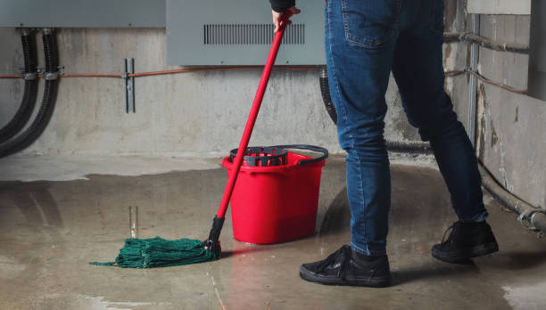 Best Water damage cleanup near me  in Norco, CA