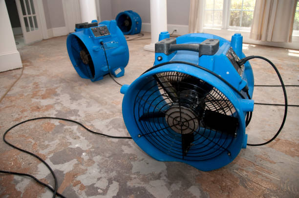 Best Flood damage cleanup  in Norco, CA