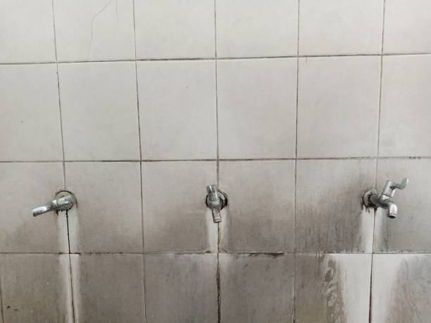 Best Water damage restoration near me  in Norco, CA
