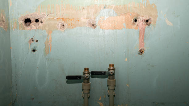 Trusted Norco, CA Water damage restoration Experts
