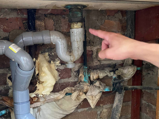 Best Fire Damage Restoration  in Norco, CA