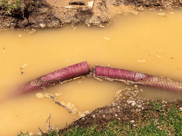 Best Water damage restoration specialists  in Norco, CA