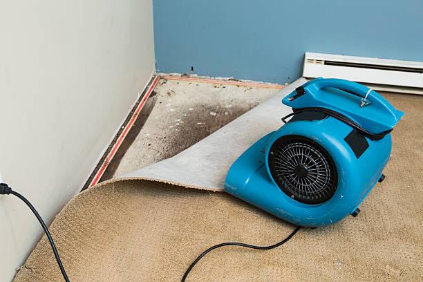 Best Mold removal after water damage  in Norco, CA